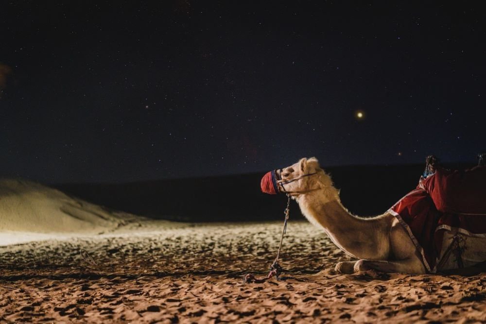 Stargazing in Desert