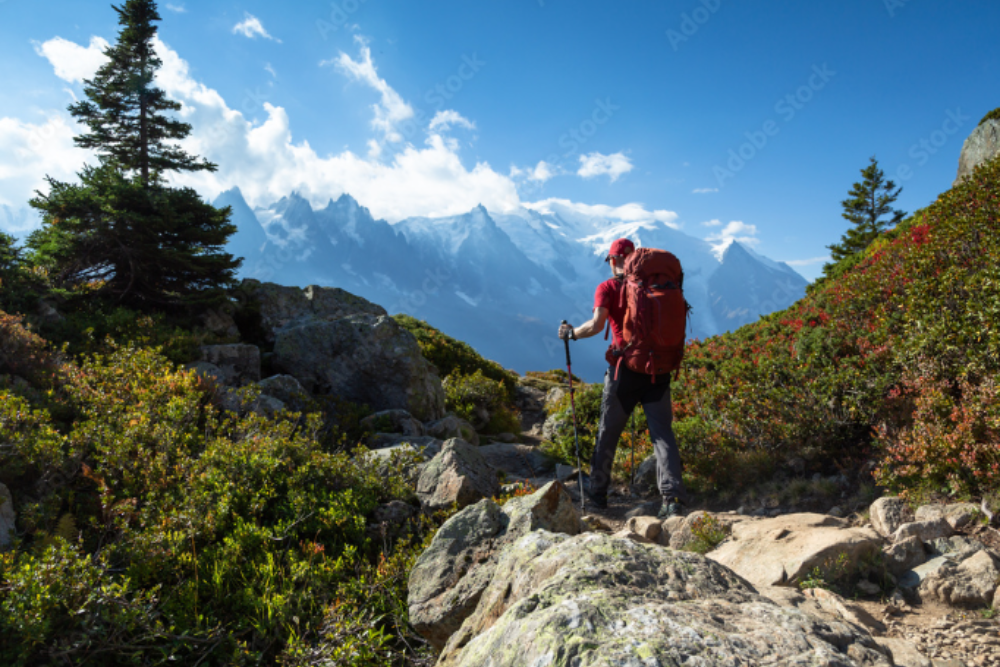 Hiking the Rheinsteig Trail