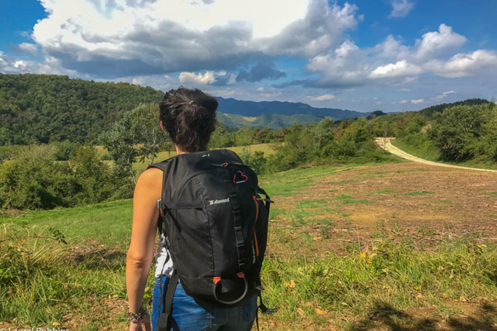 Hiking in the Bologna Hills