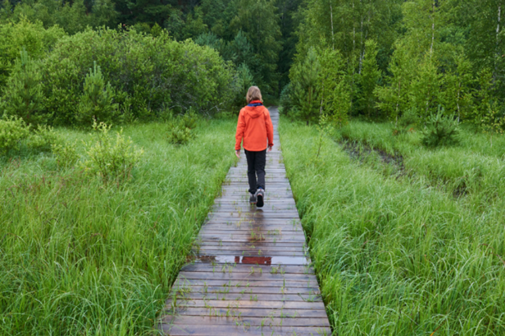 Hiking in Sodertalje Nature Reserve