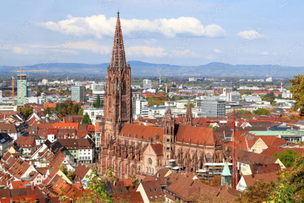 Freiburg Minster (Freiburger Munster)