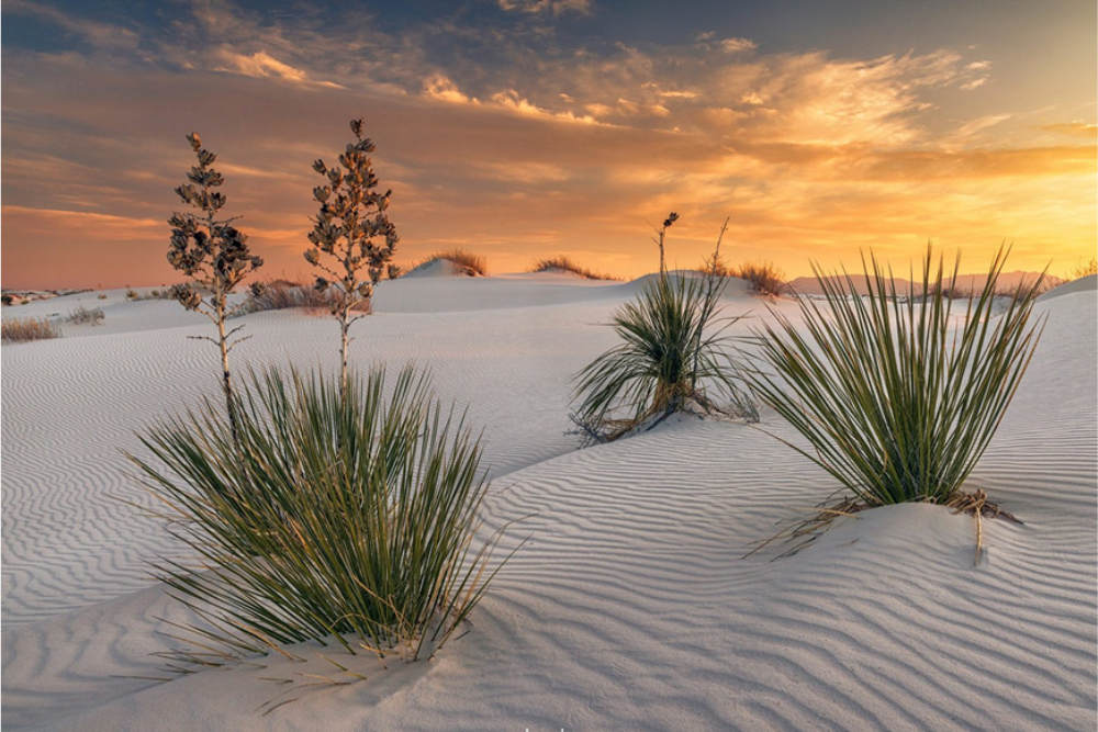 White Sands National Park