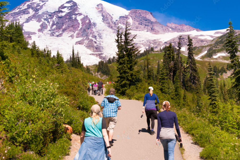 Hiking Mount Rainier