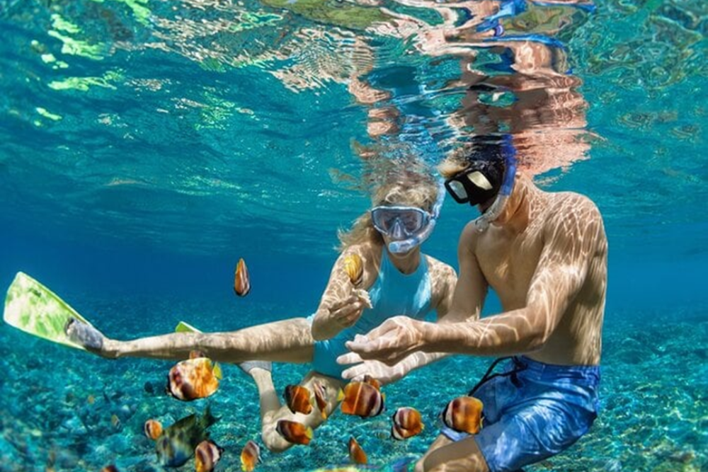 Swimming and Snorkeling