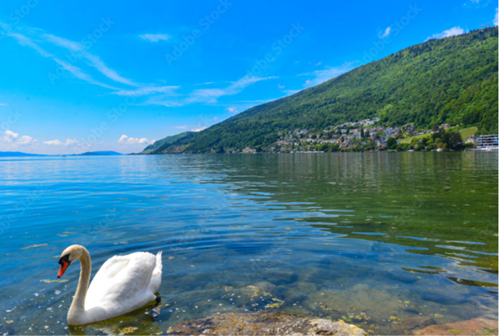 Lake Biel (Bielersee)