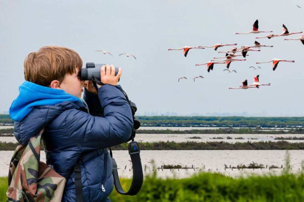 Birdwatching in the Extremadura Countryside