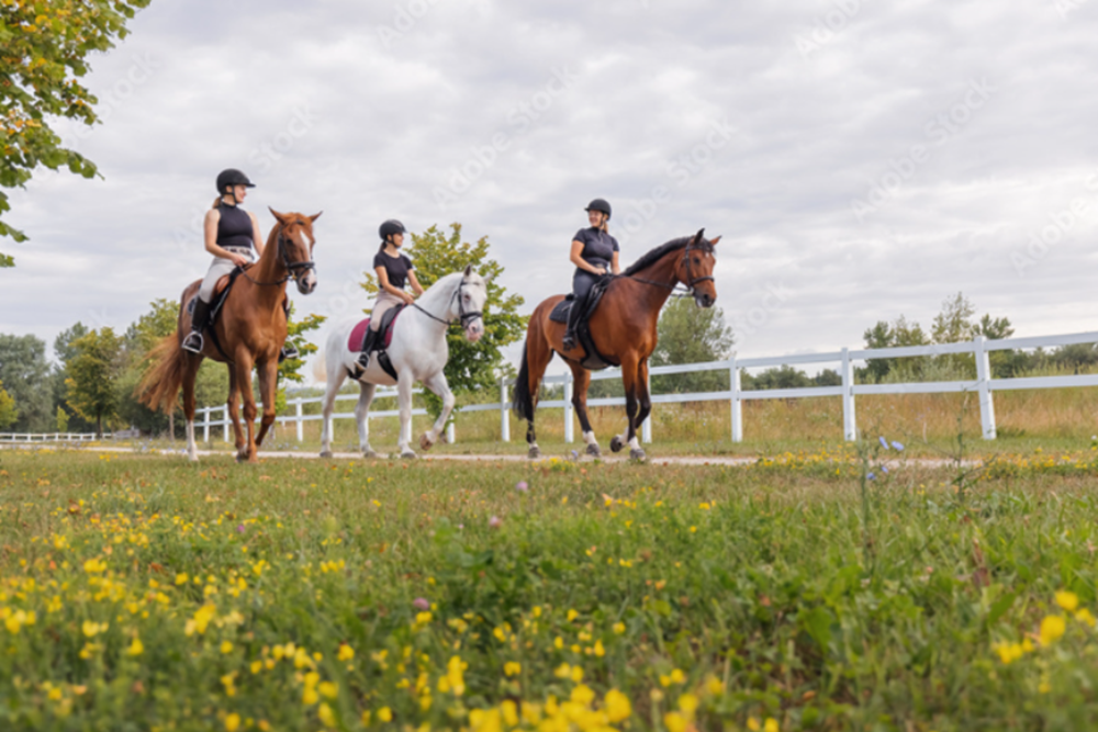 Horseback Riding
