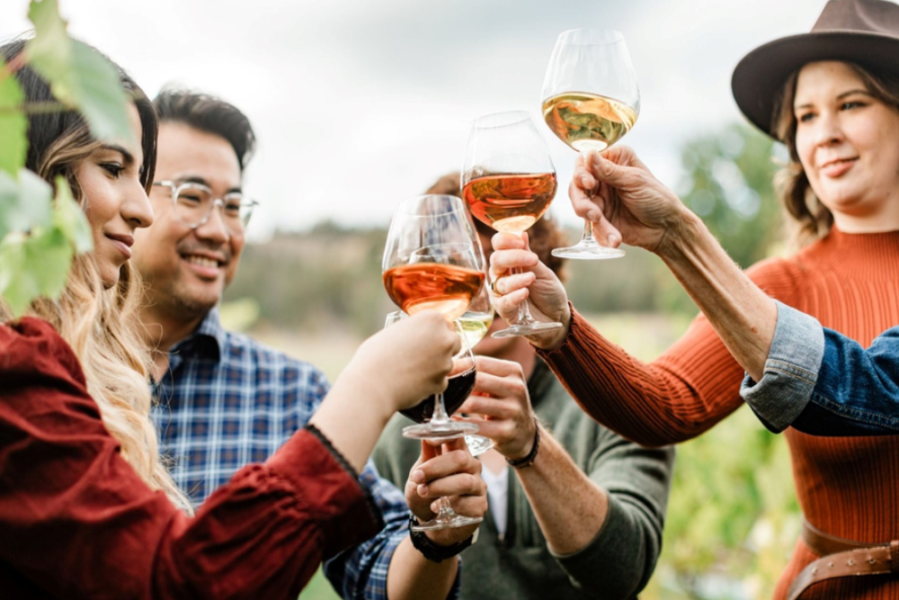 Wine and Cider Tasting Tours