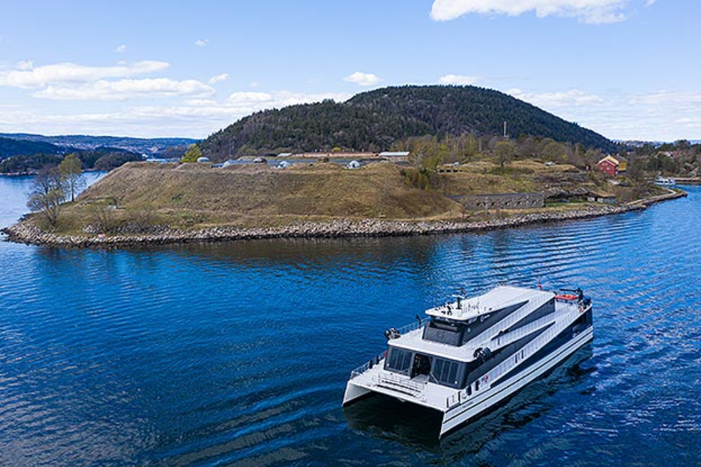 Fjord Cruises and Island Hopping
