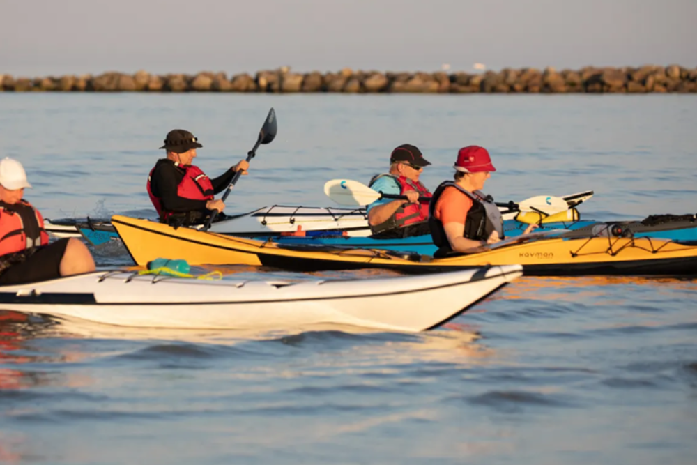 Water Sports: