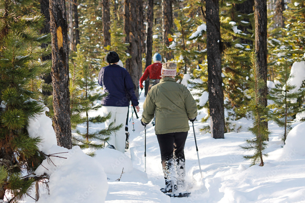 Snowshoeing and Cross-Country Skiing: