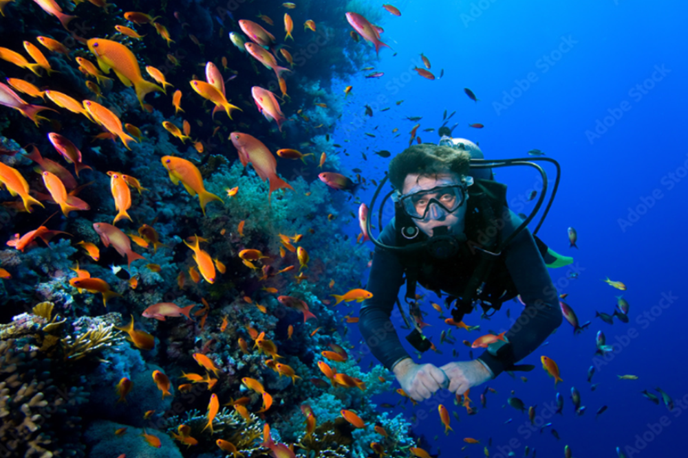 Scuba Diving Adventures
