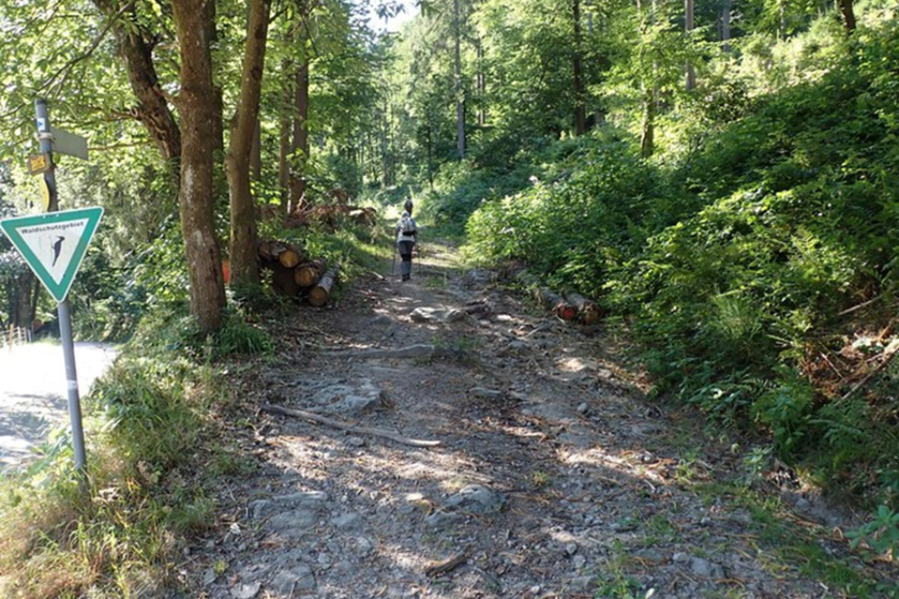 Bergstraße and the Tübingen Reutlingen Railway