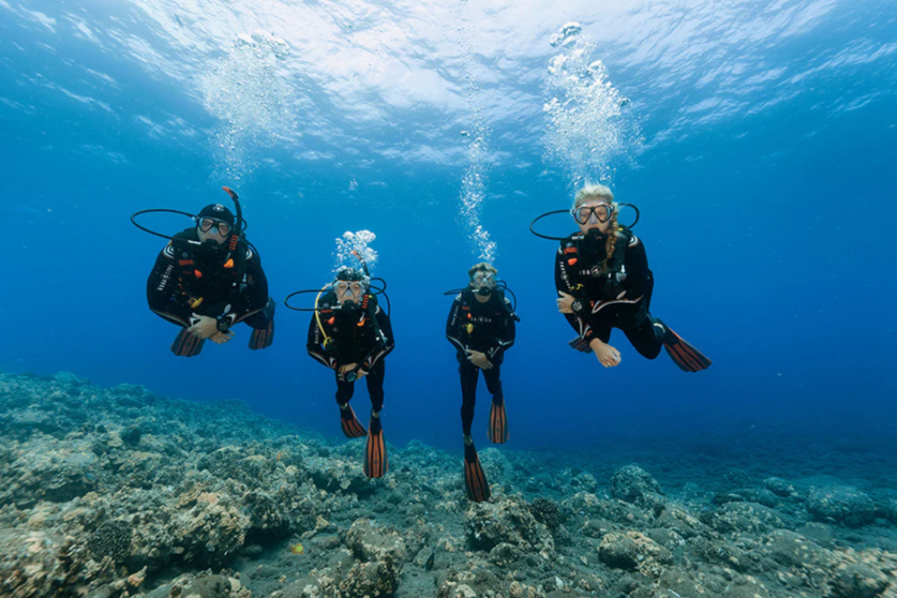 Snorkeling and Diving
