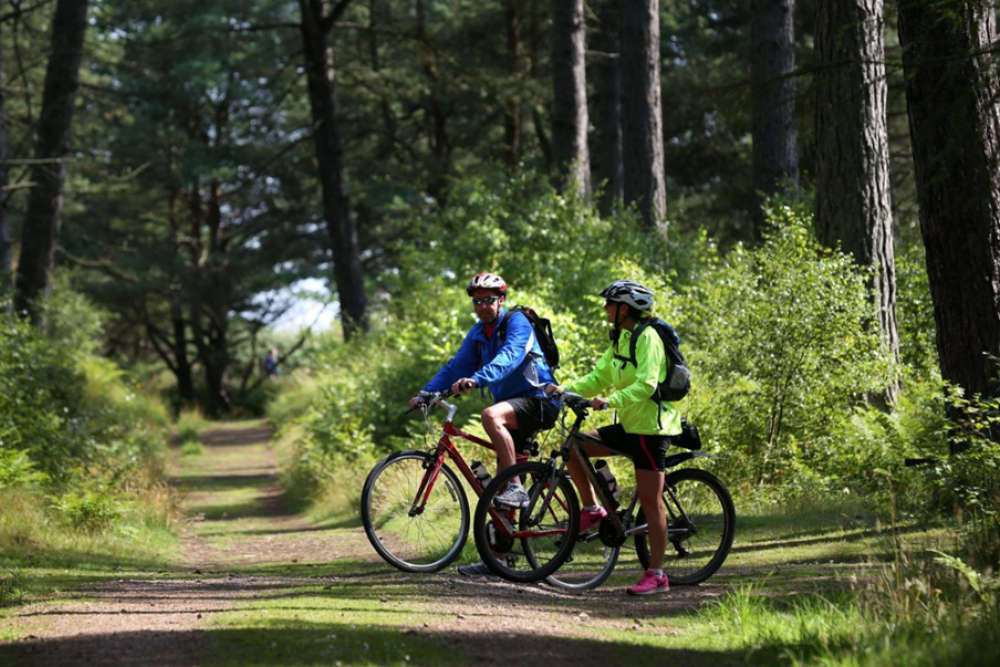 Mountain Biking at Tentsmuir Forest