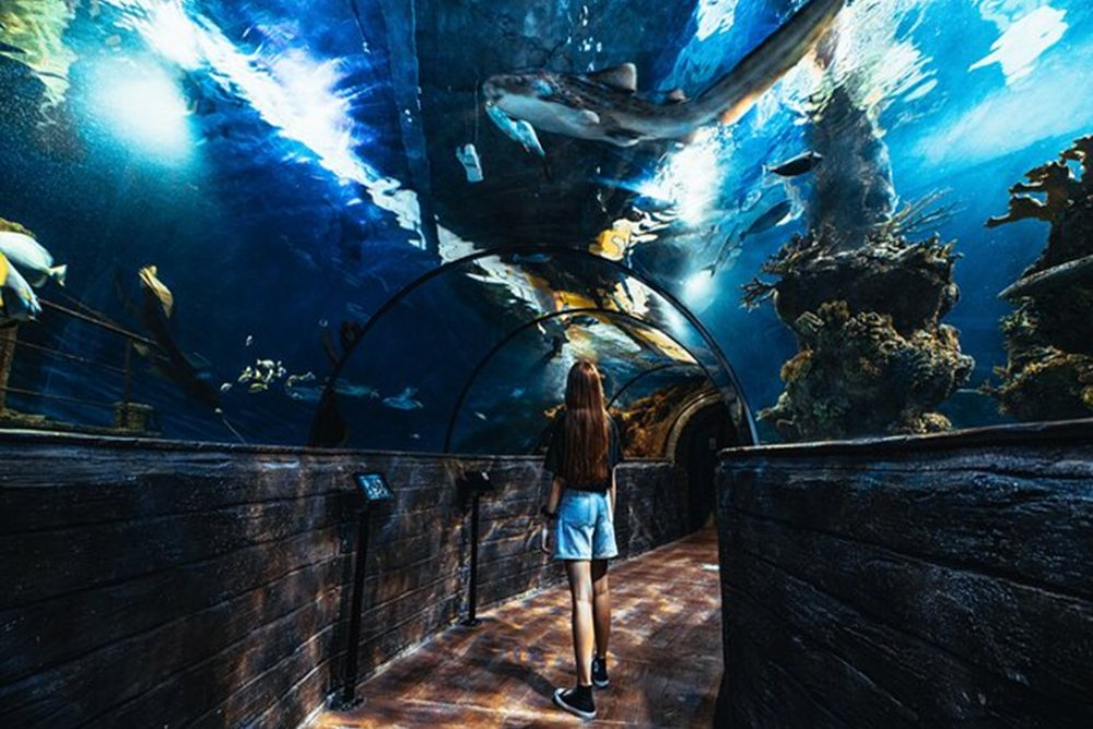 The Malta National Aquarium
