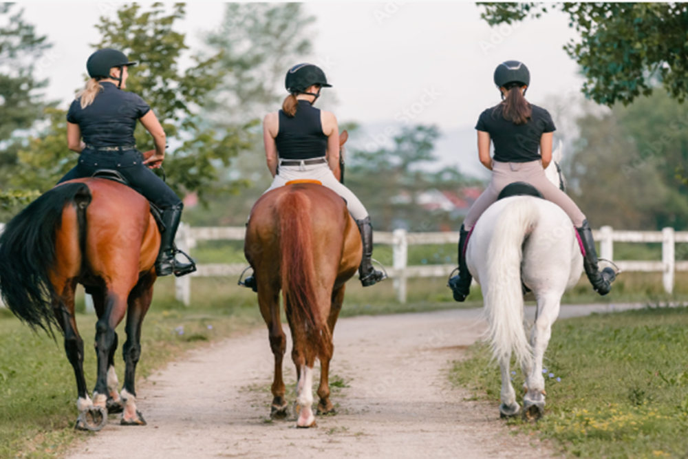 Horseback Riding