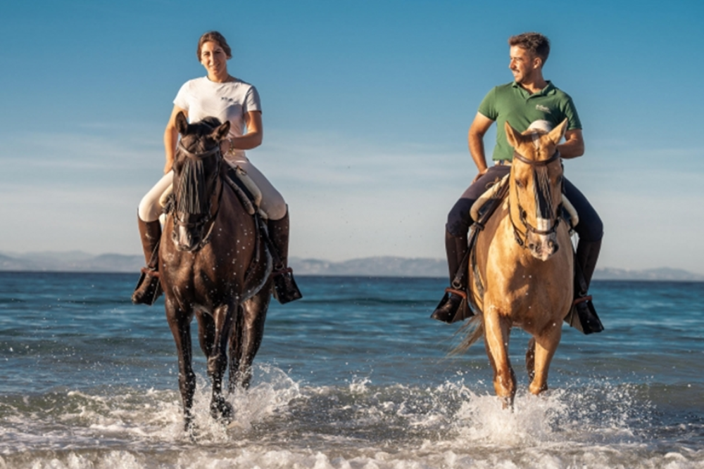 Horse Riding Along the Beaches