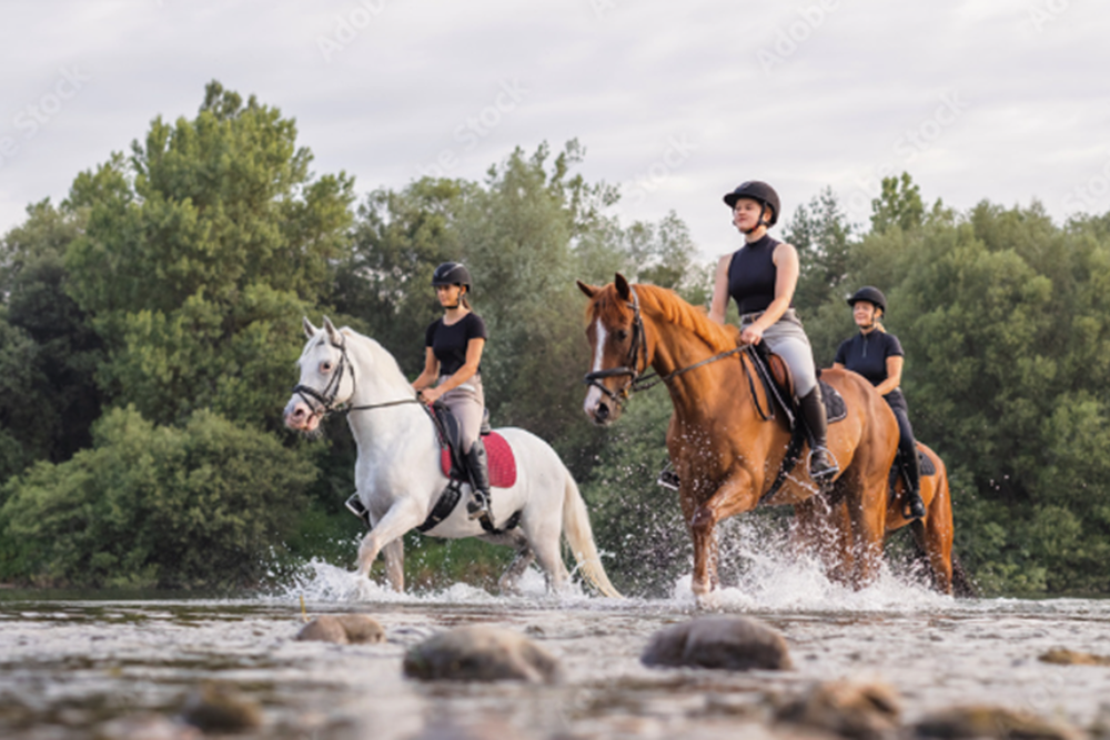 Horseback Riding in the Swiss Countryside