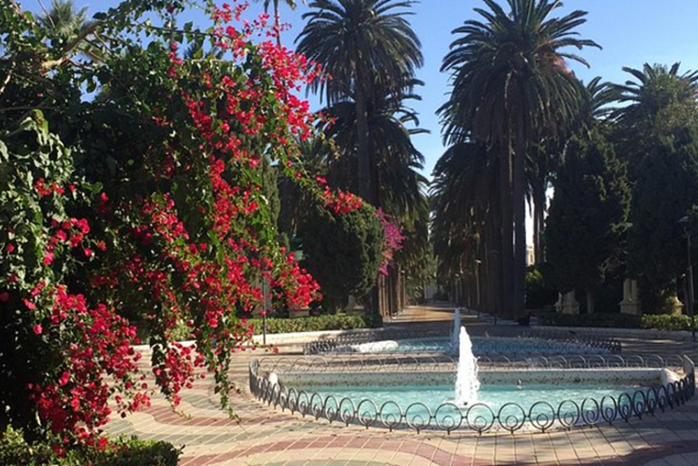 Visit the Botanical Garden