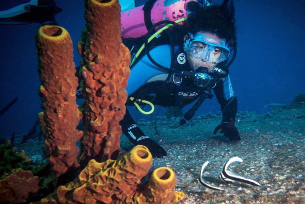  La Caleta Beach – Snorkeling and Diving