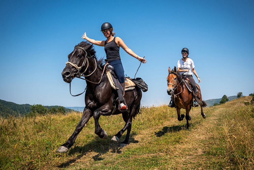Horseback Riding in Turinge