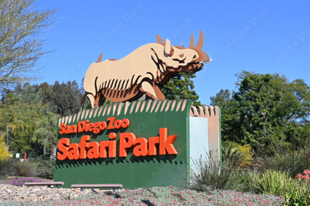 San Diego Safari Park