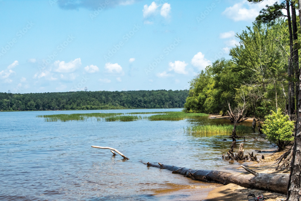 Cavity Lake Public Park