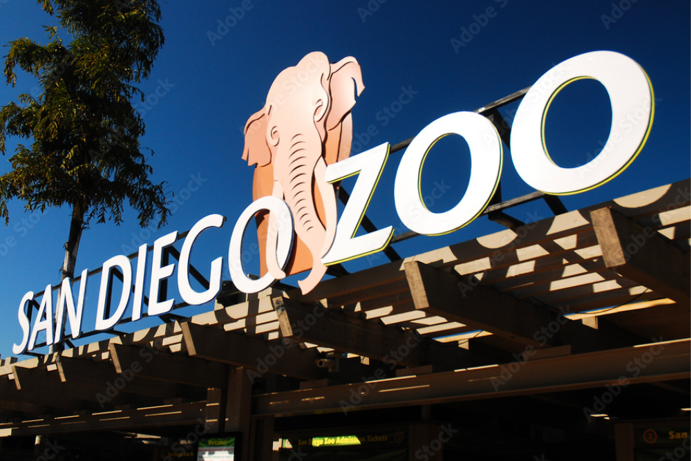 San Diego Zoo