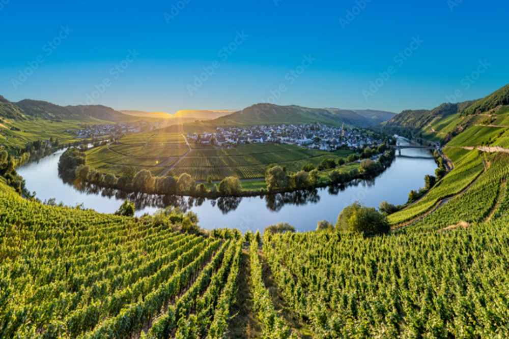 Hiking in the Moselle Valley