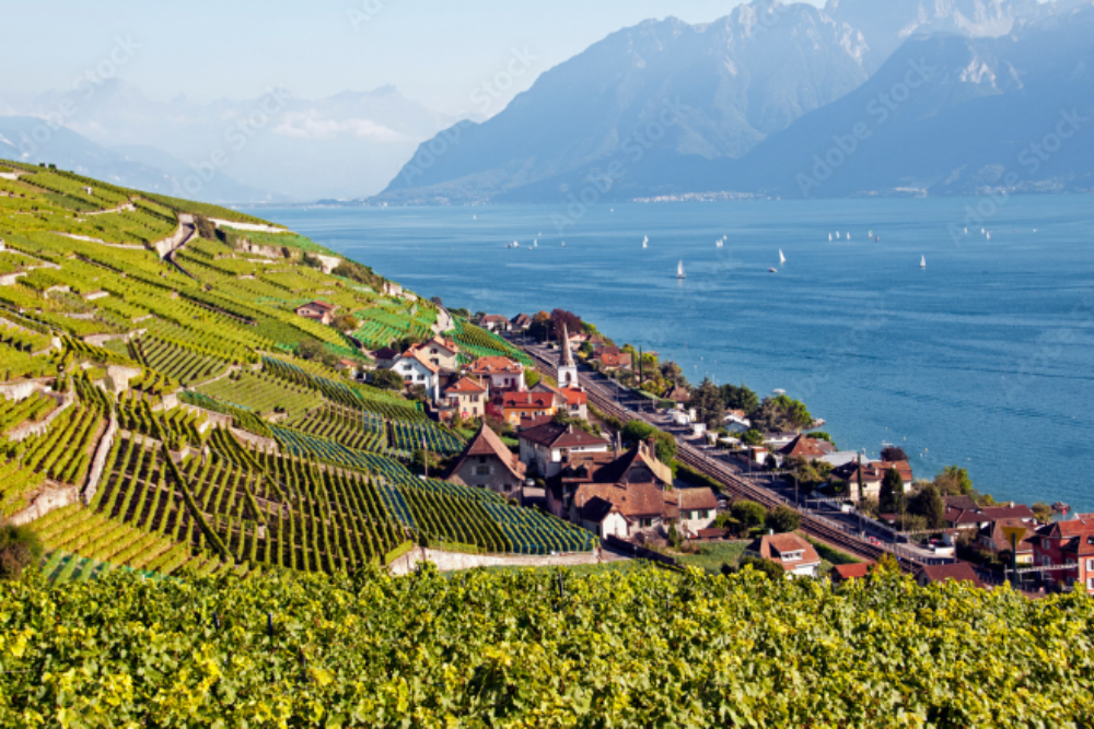 Vineyards of Lavaux