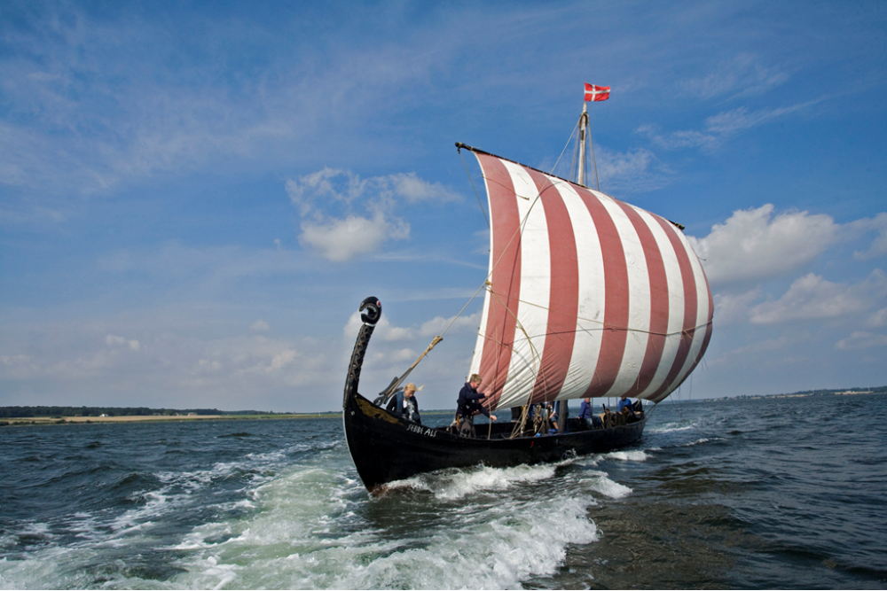 Viking Ship Sailing at the Limfjord