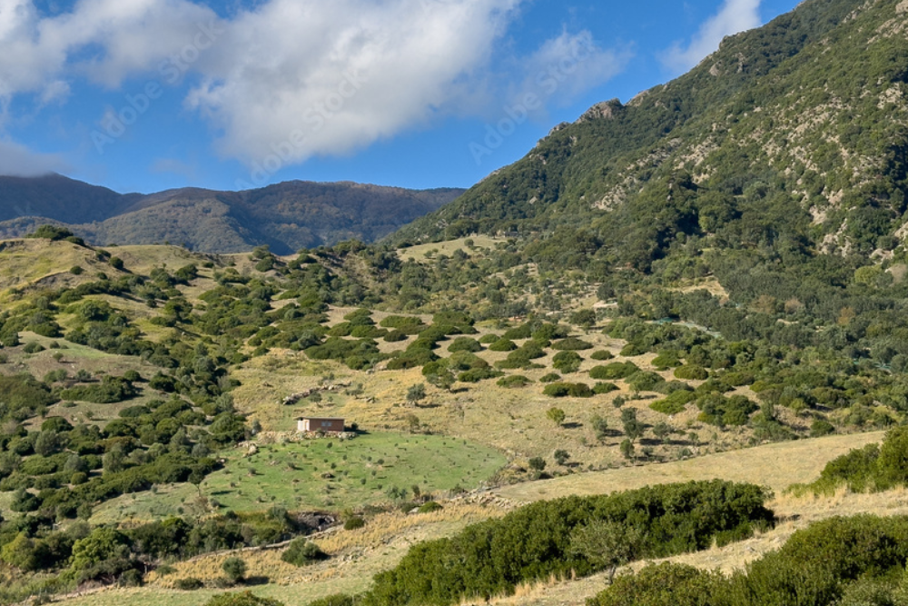 Trekking in Aspromonte National Park