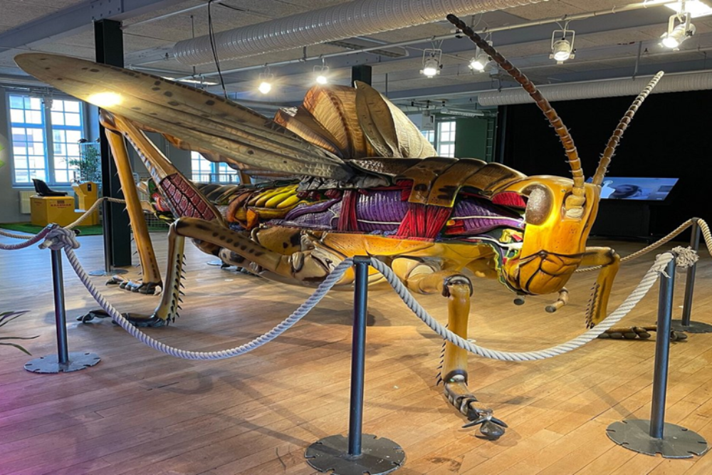 Kreativum Science Center