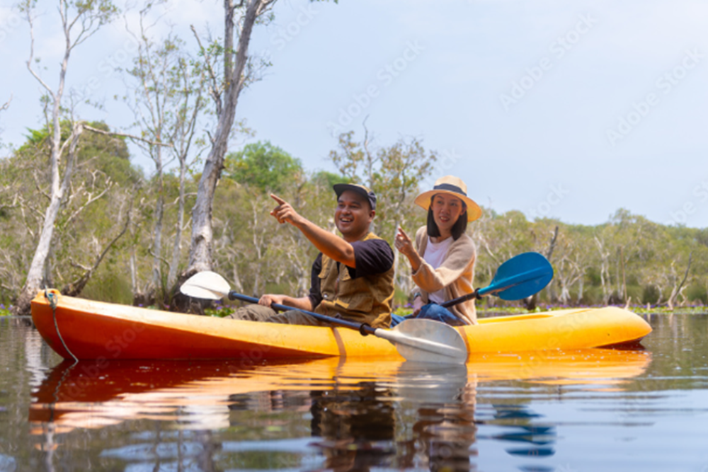 Mangrove Woods Kayaking