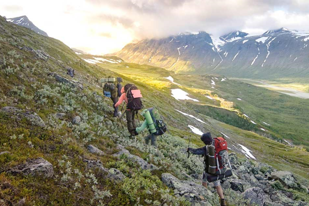 Climbing and Nature Strolls