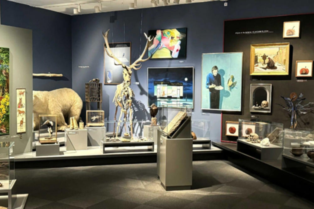 Skive museum