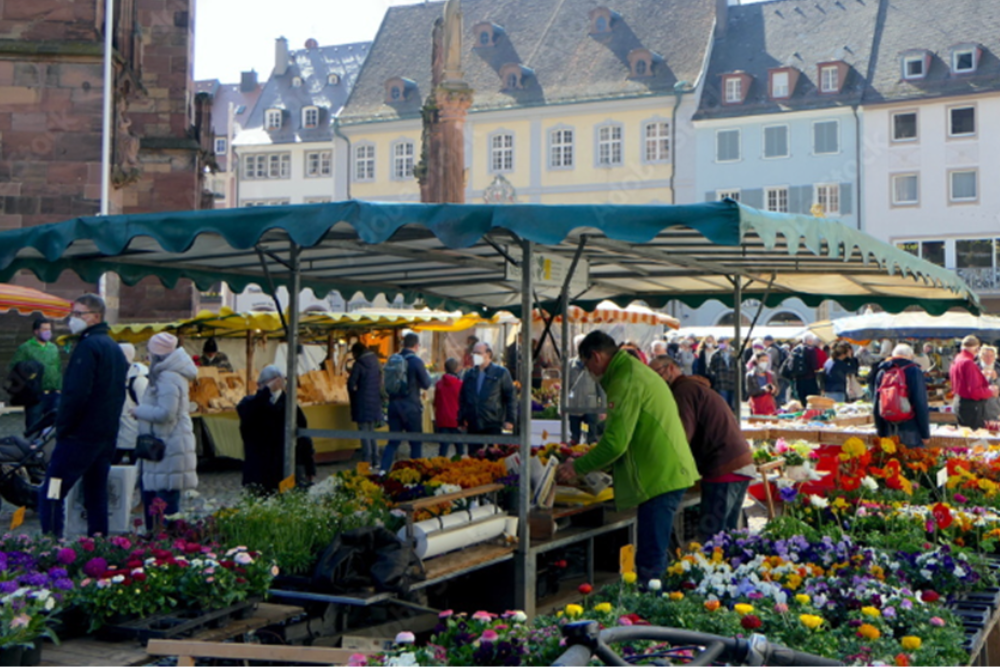 Münsterplatz Market