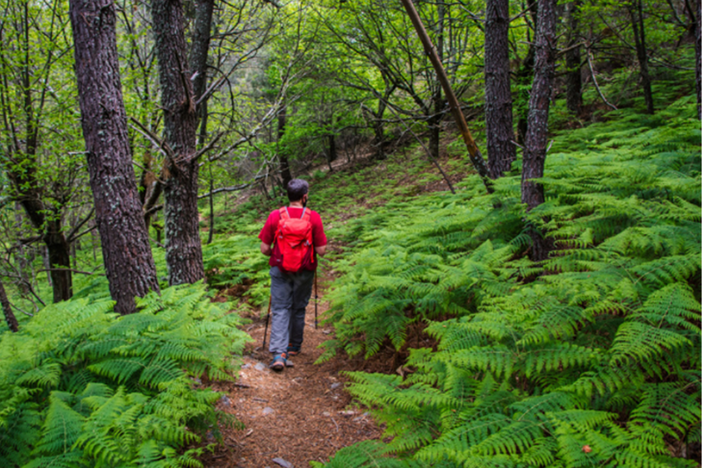 Hiking in Sierra de Gata