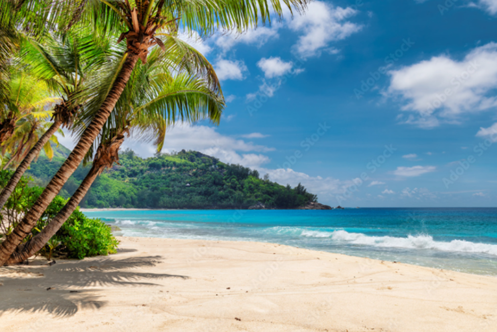 Tropical Beach