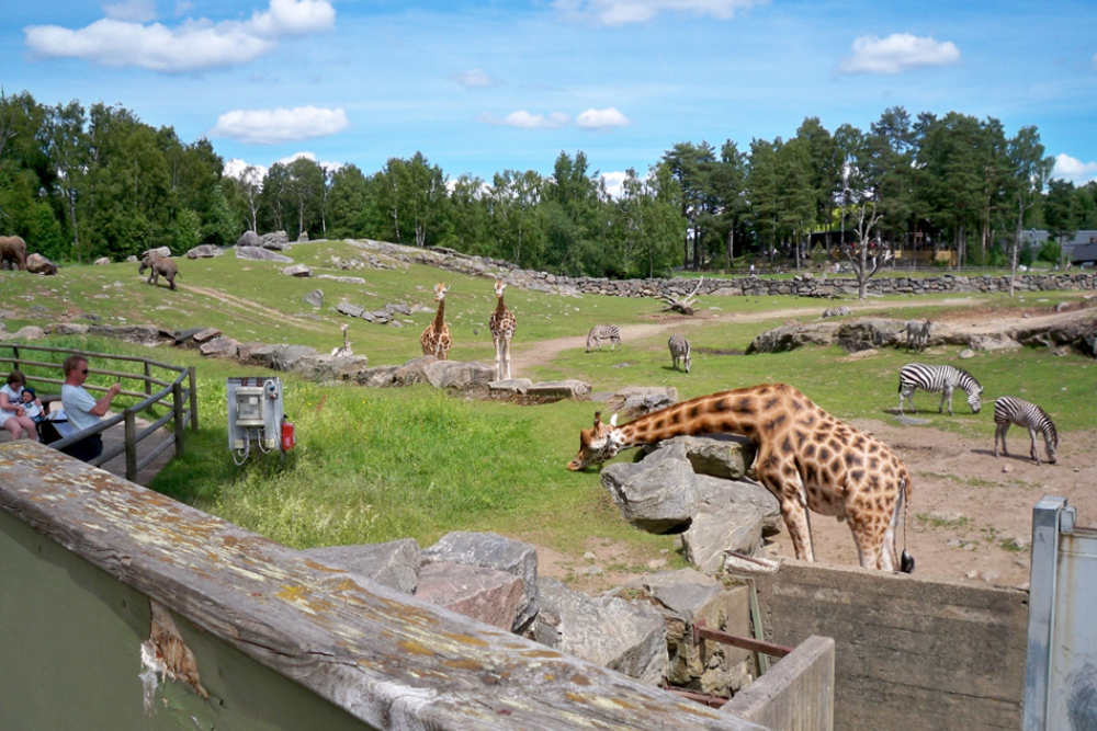 Boras Zoo