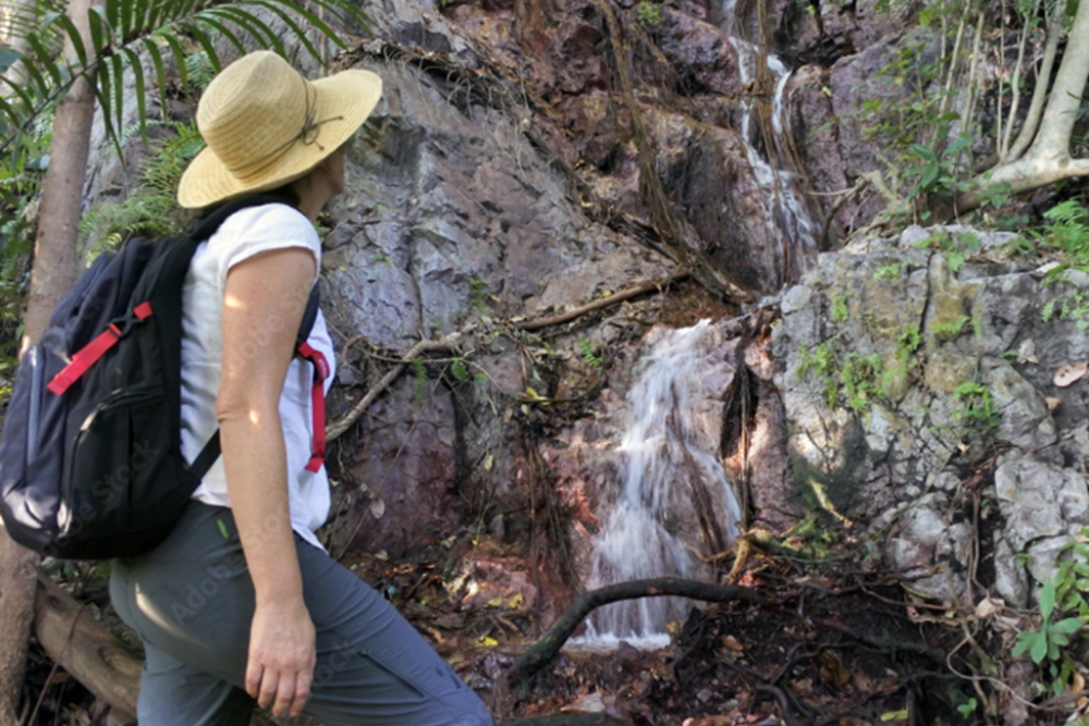 Hike the Lichfield Heritage Trail