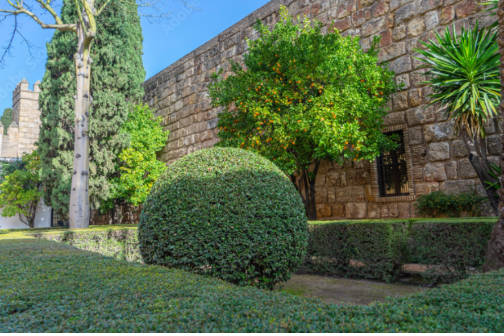Fgura Garden