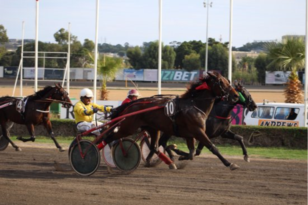 Marsa Racecourse