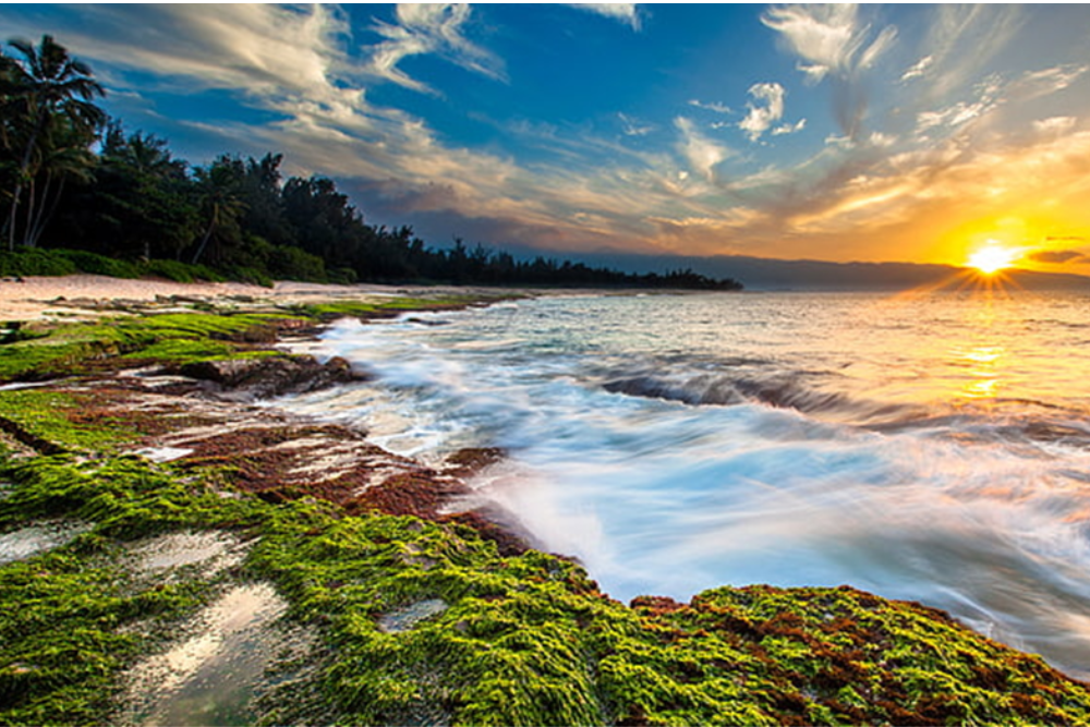 Maui’s Scenic Wonders