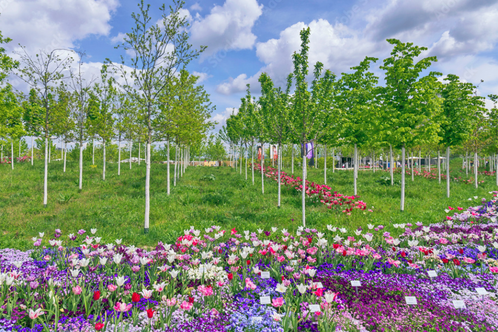 Luisenpark