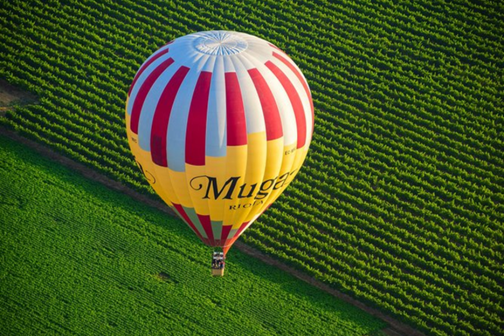 Hot Air Ballooning Over Rioja Vineyards