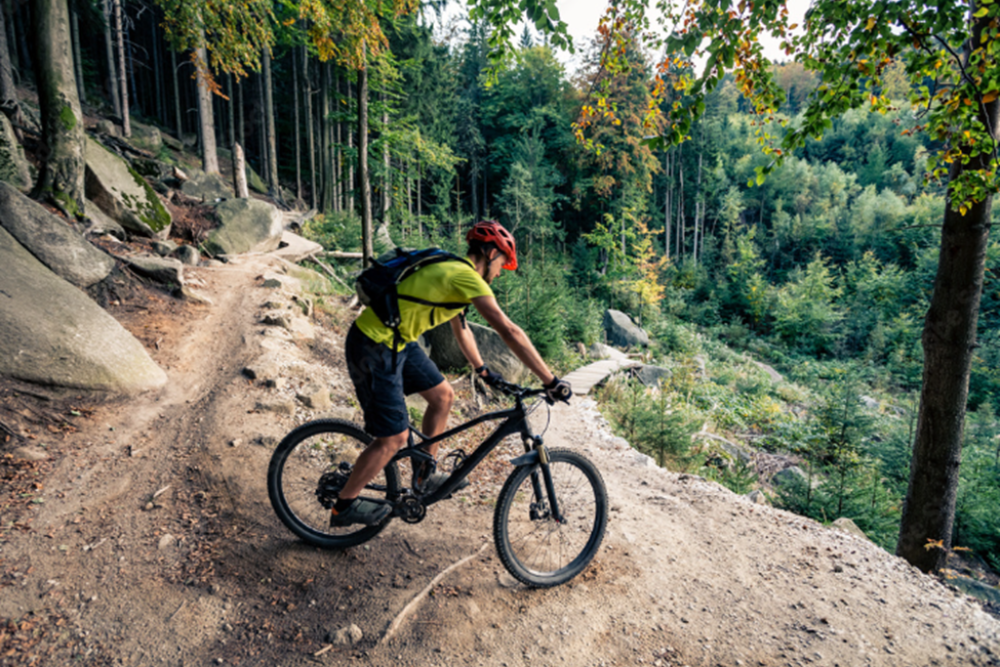 Mountain Biking in Tullgarn Nature Reserve