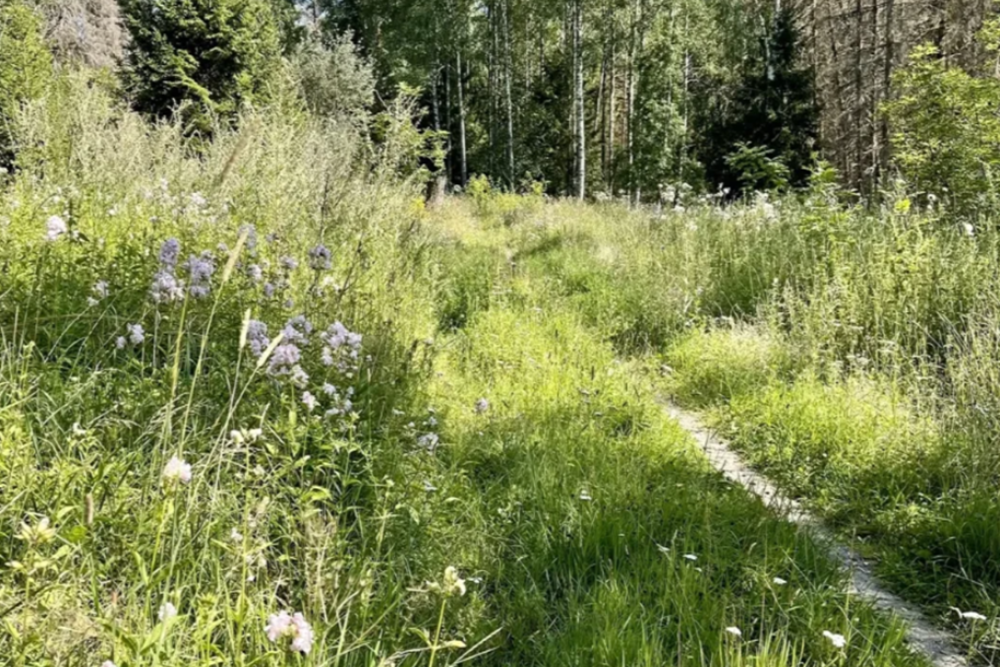 Vilsta Nature Reserve