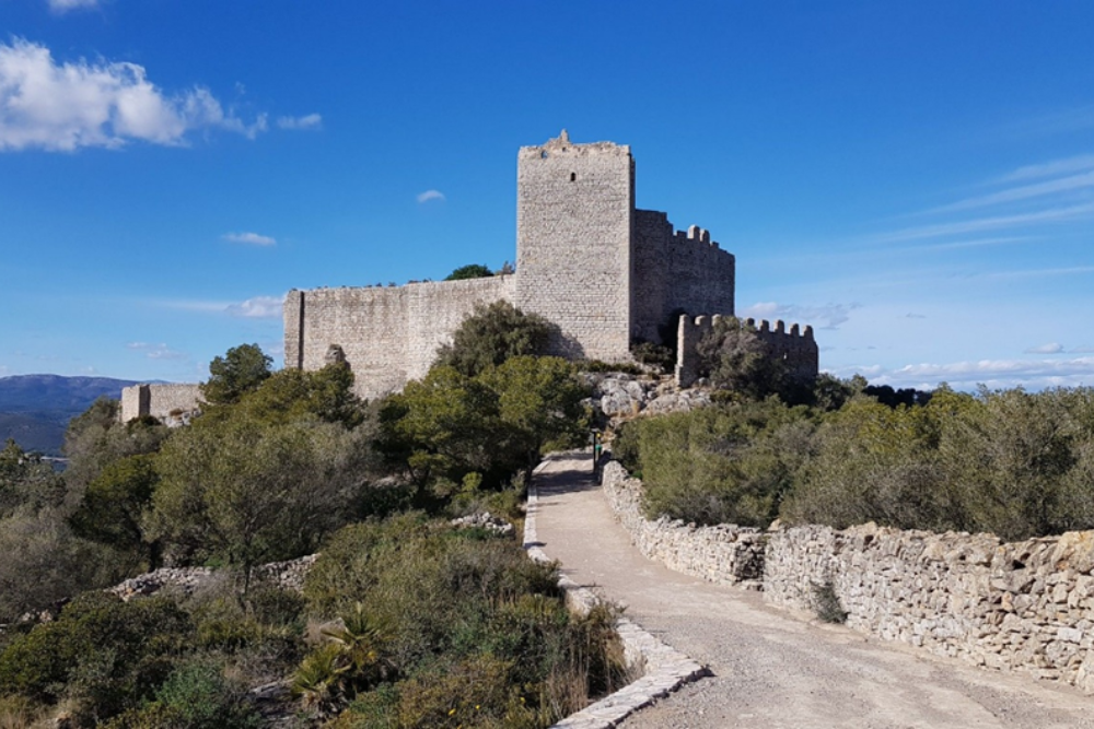 Hiking and Nature Walks